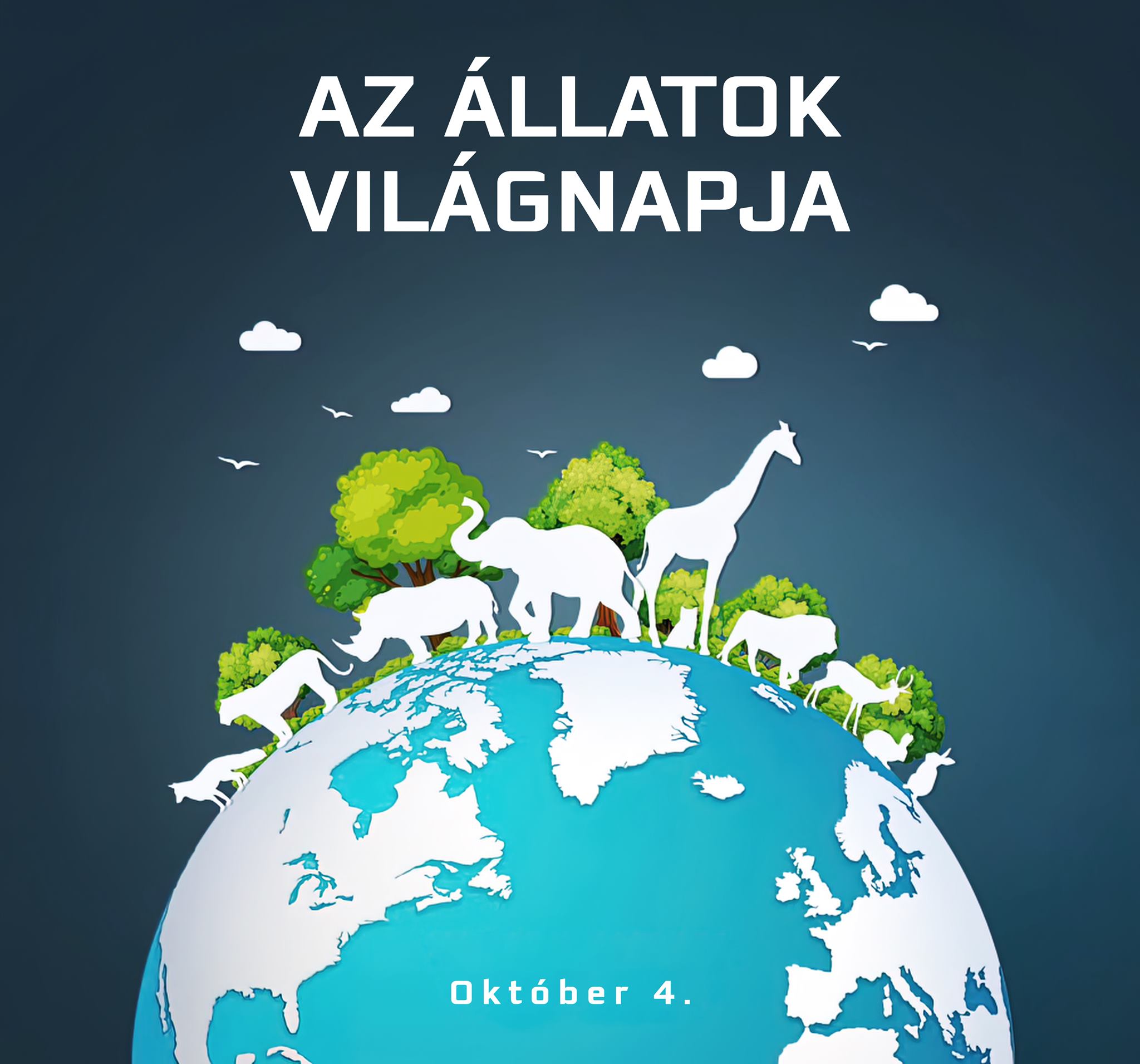 Állatok Világnapja a Mocorgóban – 2023.10.04