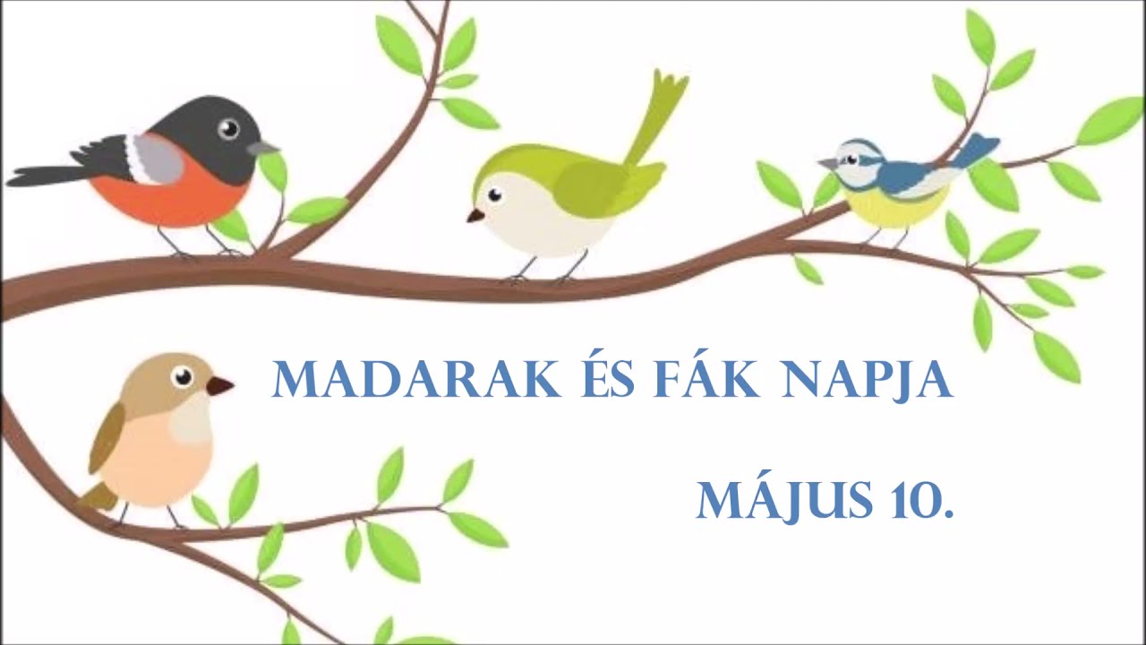 Madarak és fák napja – 05.10